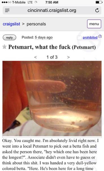Fish Rights Activist Lets Petsmart Feel His Wrath On Craigslist 5 Pics Izismile Com
