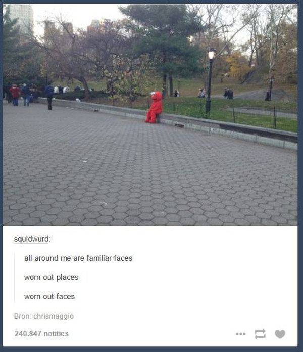 Times When Tumblr Comments Made an Ordinary Photo Ten Times More Funny
