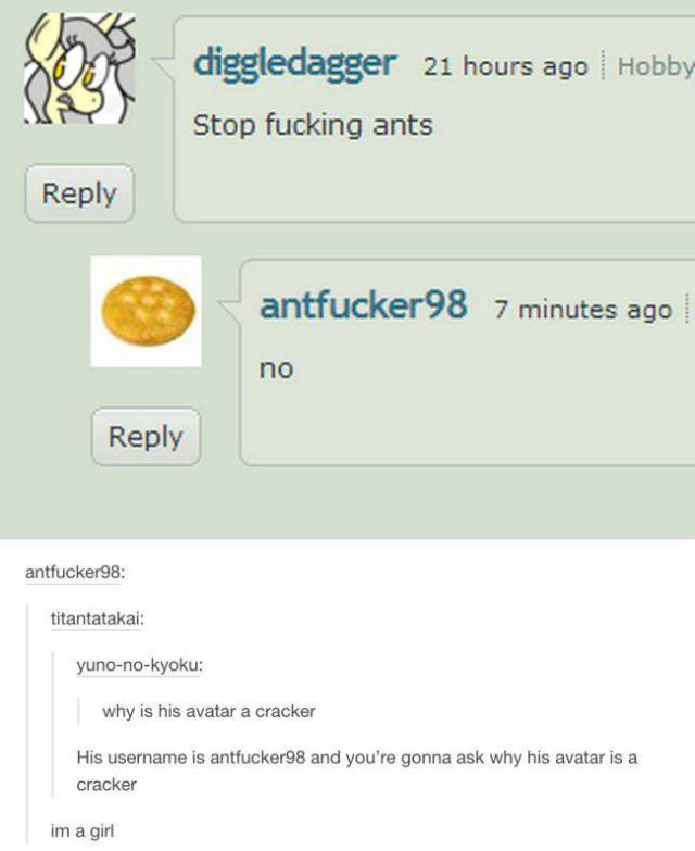 Times When Tumblr Comments Made an Ordinary Photo Ten Times More Funny