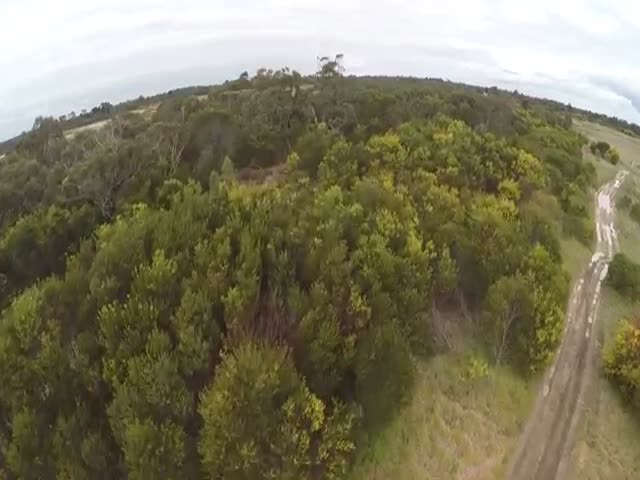 Never Fly Your Drone This Close to a Hungry Eagle