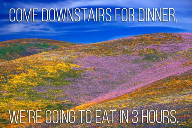 Mom Sayings Take on a Whole New Meaning as Motivational Posters