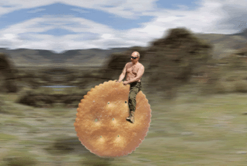 Weird GIFs That Will Make You Say WTF?