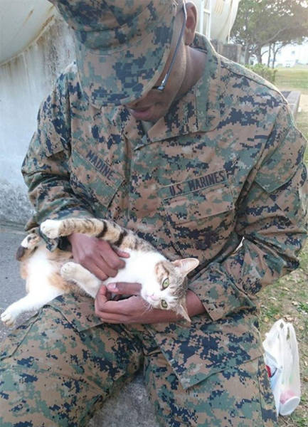 Soldiers Share Some Bonding Time with Cats