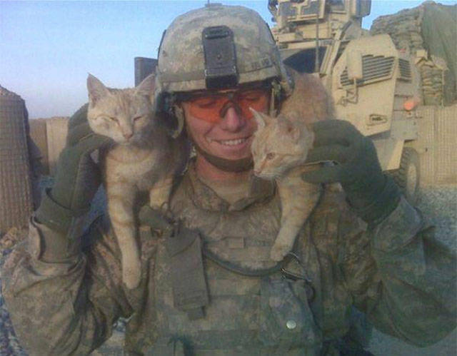 Soldiers Share Some Bonding Time with Cats