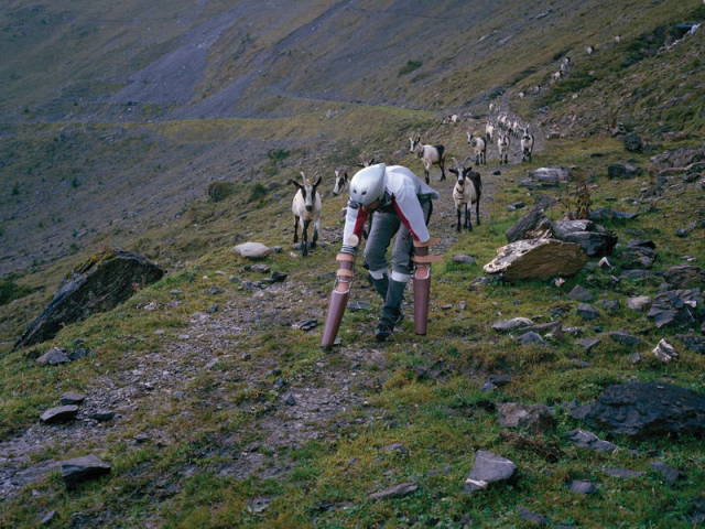 The Man Who Decided He Wanted to Be a Goat