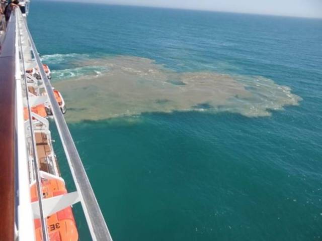 Cruise Ships Dump Tons of Human Waste into the Ocean Every Year