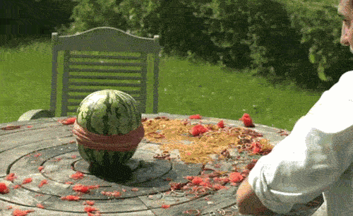 Science Looks Even More Amazing in GIFs