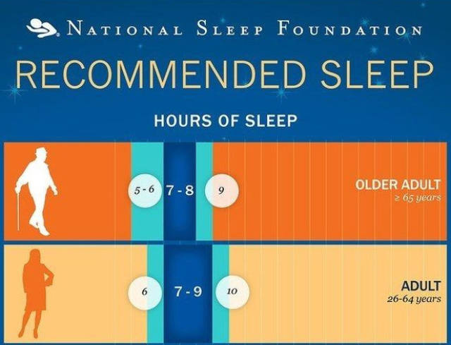 Everything You Ever Needed to Know about Sleep