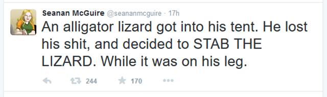 This Story Explains Why You Should Never Mess with a Lizard