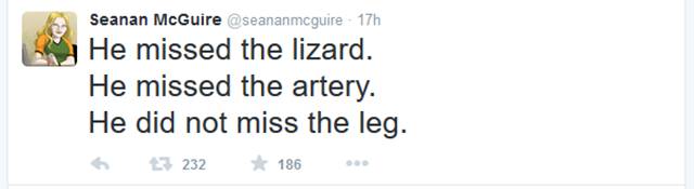 This Story Explains Why You Should Never Mess with a Lizard
