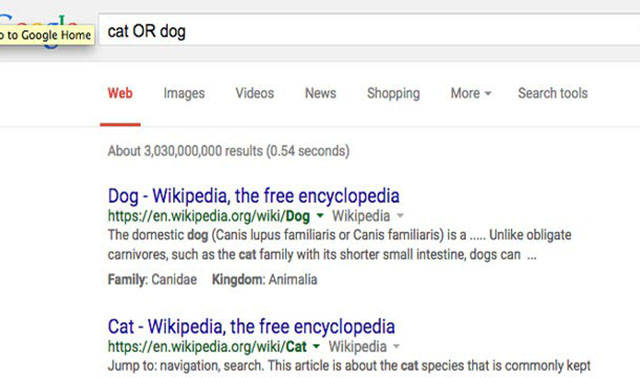 Useful Google Hacks to Try the Next Time You’re Searching for Anything Online