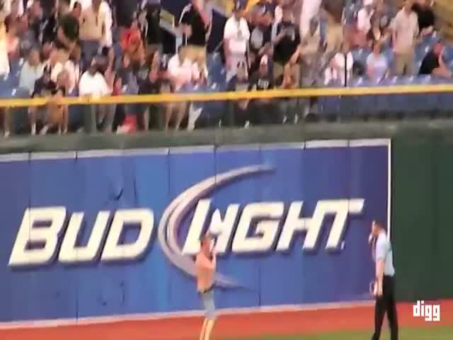 Baseball Fans Getting Tackled On The Field