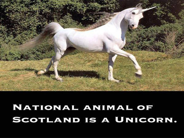 Outlandish Facts That Are Strange but True