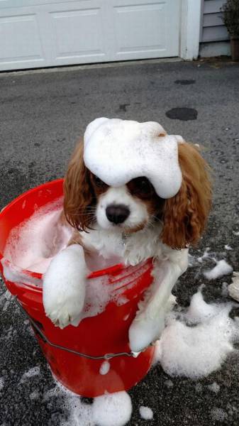 Daily Picdump Daily Picdump