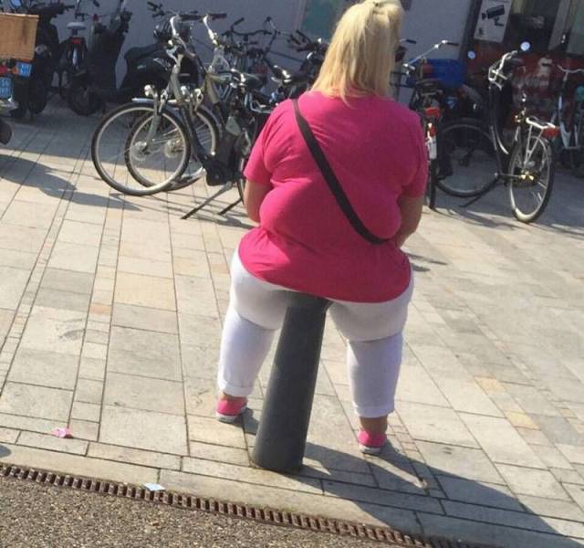 Daily Picdump Daily Picdump