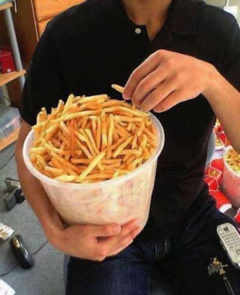 Daily Picdump Daily Picdump