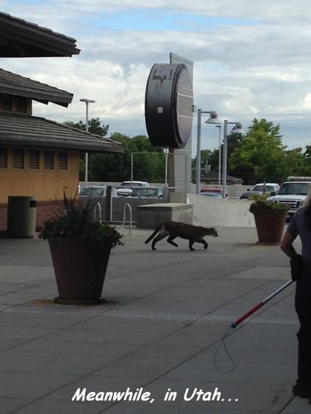 Daily Picdump Daily Picdump