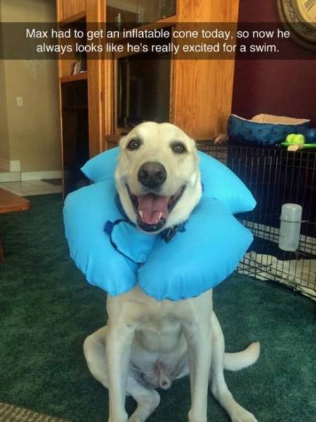 Daily Picdump Daily Picdump