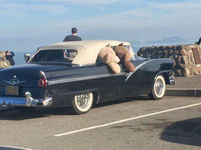Daily Picdump Daily Picdump