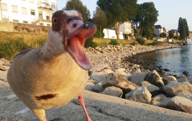 Daily Picdump Daily Picdump