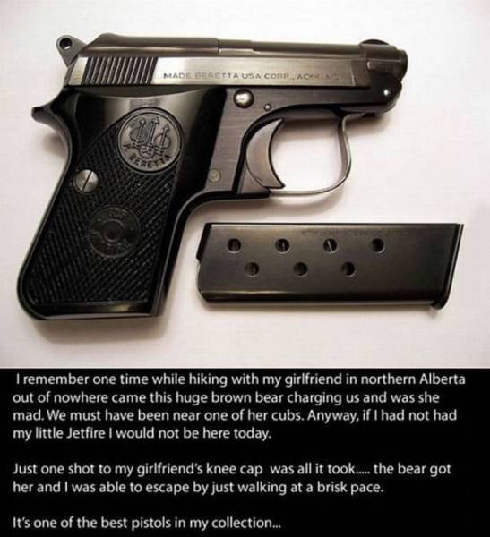 Daily Picdump Daily Picdump