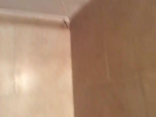 A Man vs. a Wolf Spider in the Shower