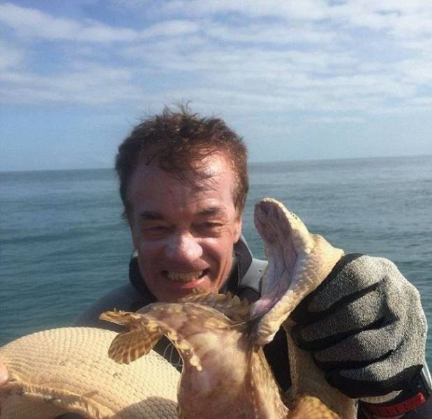 Epic Fight Between Venomous Snake And World’s Most Poisonous Fish Epic Fight Between Venomous Snake And World’s Most Poisonous Fish