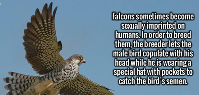 Interesting Random Trivia That Will Make You Will be Surprised to Learn Interesting Random Trivia That Will Make You Will be Surprised to Learn
