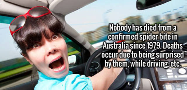 Interesting Random Trivia That Will Make You Will be Surprised to Learn Interesting Random Trivia That Will Make You Will be Surprised to Learn