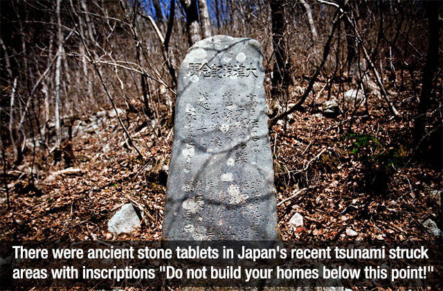 Interesting Random Trivia That Will Make You Will be Surprised to Learn Interesting Random Trivia That Will Make You Will be Surprised to Learn
