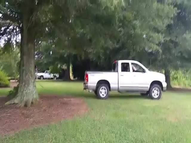 This Tree Is No Match for the Dodge Ram Truck
