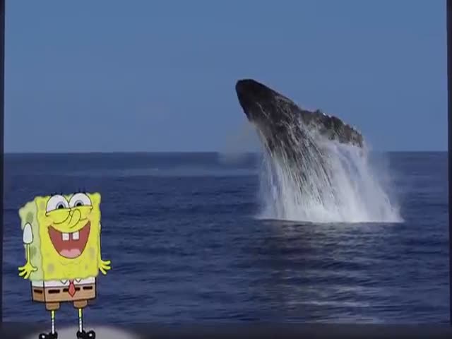 Spongebob SquarePants Explains the Importance of Plankton