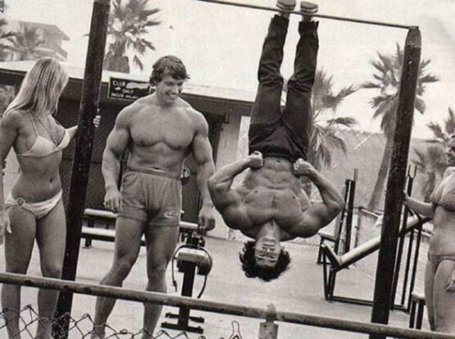 Retro Images of Arnold Schwarzenegger at the Peak of His Bodybuilding Career