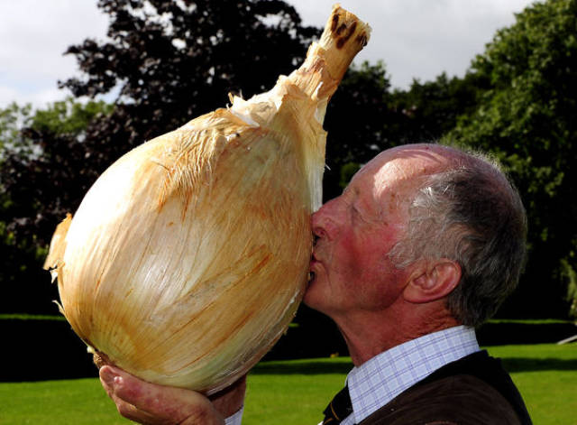 Some of the World’s Biggest Things Ever (14 pics) - Izismile.com