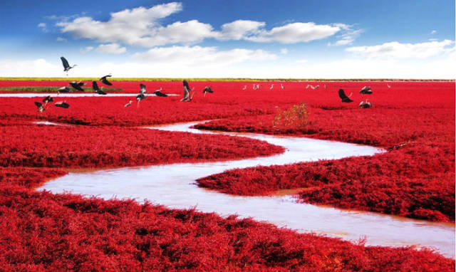Amazing Photos That Have Really Not Been Photoshopped