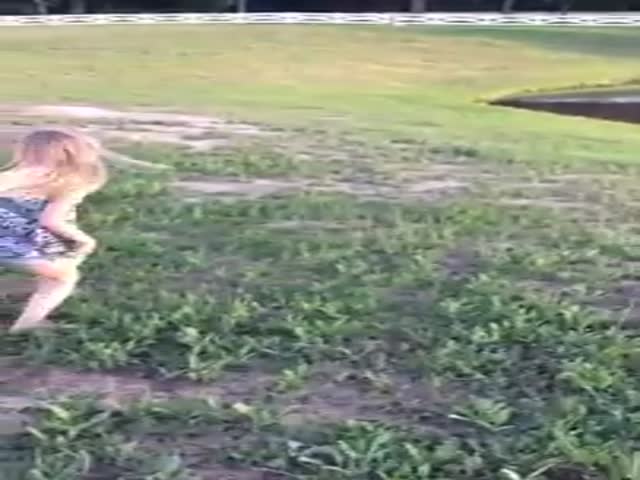 This Girl Learns the Hard Way That Chasing a Goose Is a Really Bad Idea