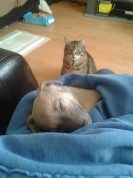 Daily Picdump