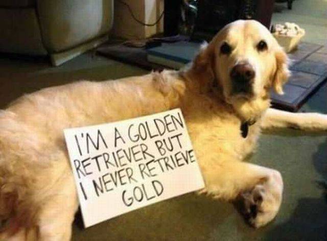 Daily Picdump
