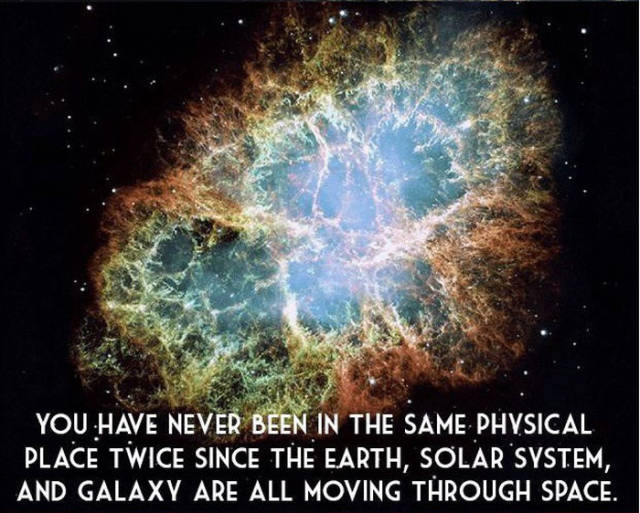 Mindblowing Facts about the Life on Planet Earth