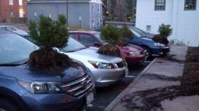 Some People Are Total Jerks And Here Are a Few Classic Examples.