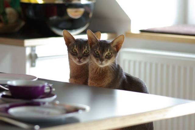 Daily Picdump Daily Picdump