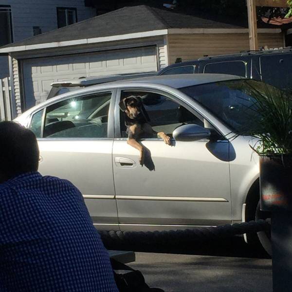 Daily Picdump Daily Picdump
