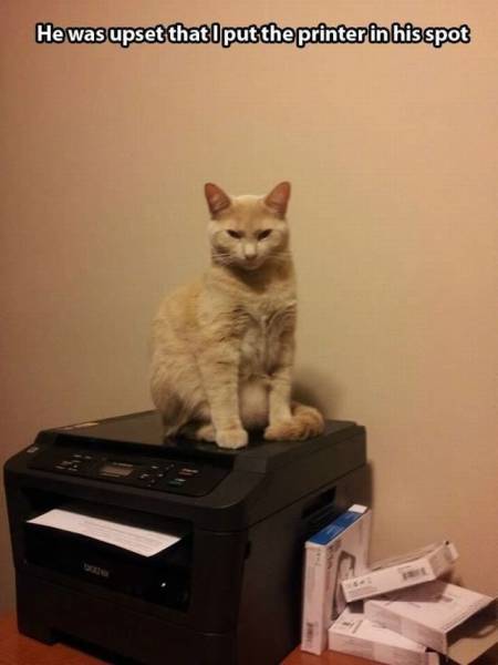Daily Picdump Daily Picdump