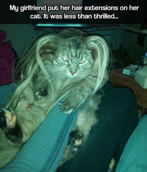 Daily Picdump Daily Picdump