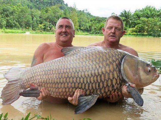 Daily Picdump Daily Picdump