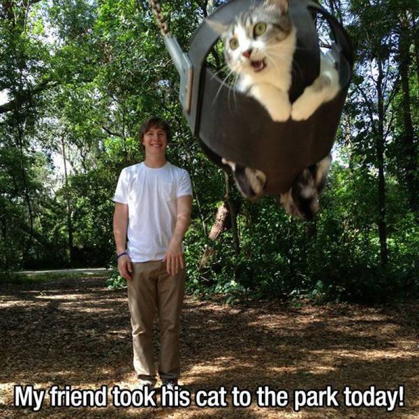 Daily Picdump Daily Picdump