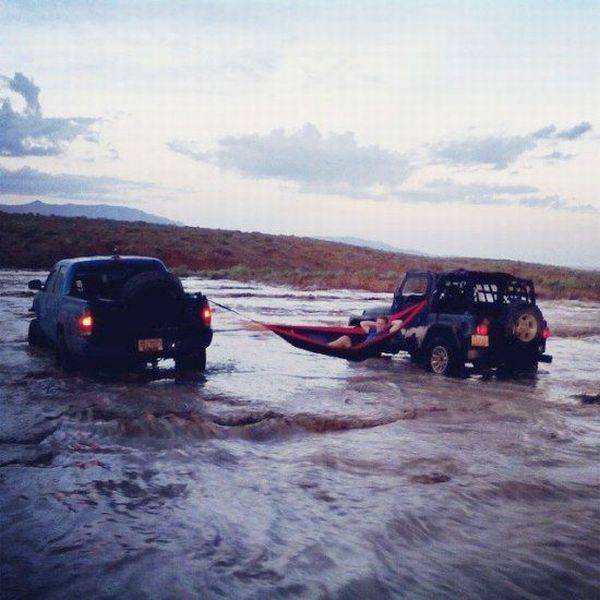 Daily Picdump Daily Picdump