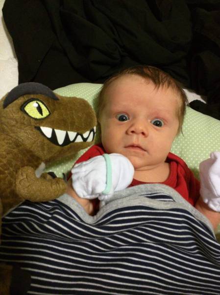 Daily Picdump Daily Picdump