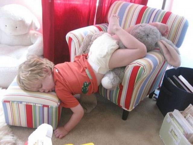 Daily Picdump Daily Picdump