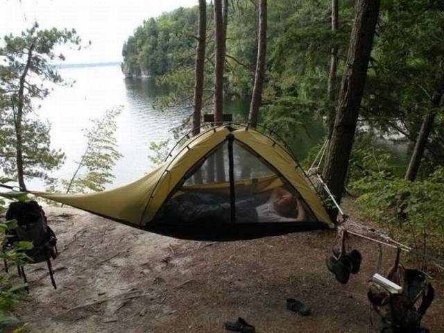 Daily Picdump Daily Picdump